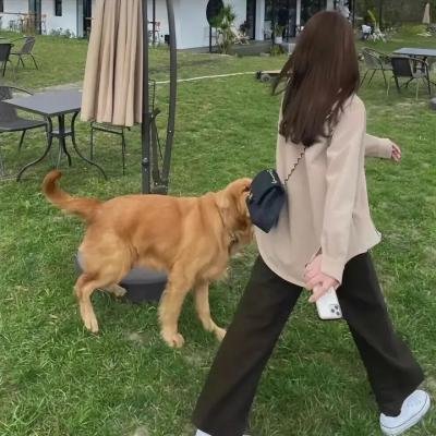 艳娃传